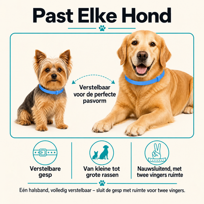 CalmiCollar Kalmerende Halsband voor Hond