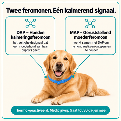 CalmiCollar Kalmerende Halsband voor Hond
