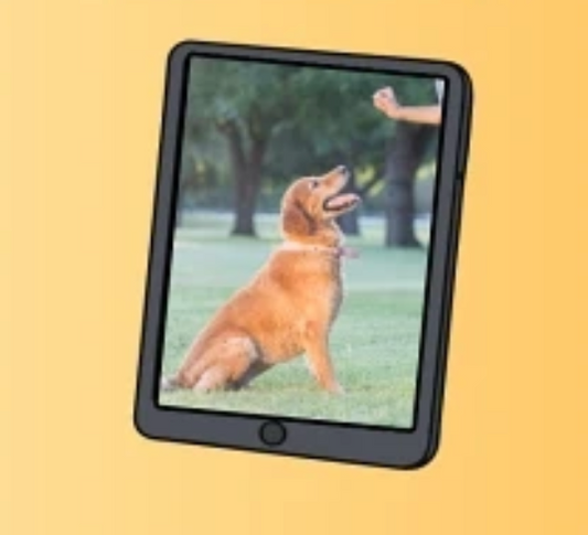 E-book: De Rustige hond